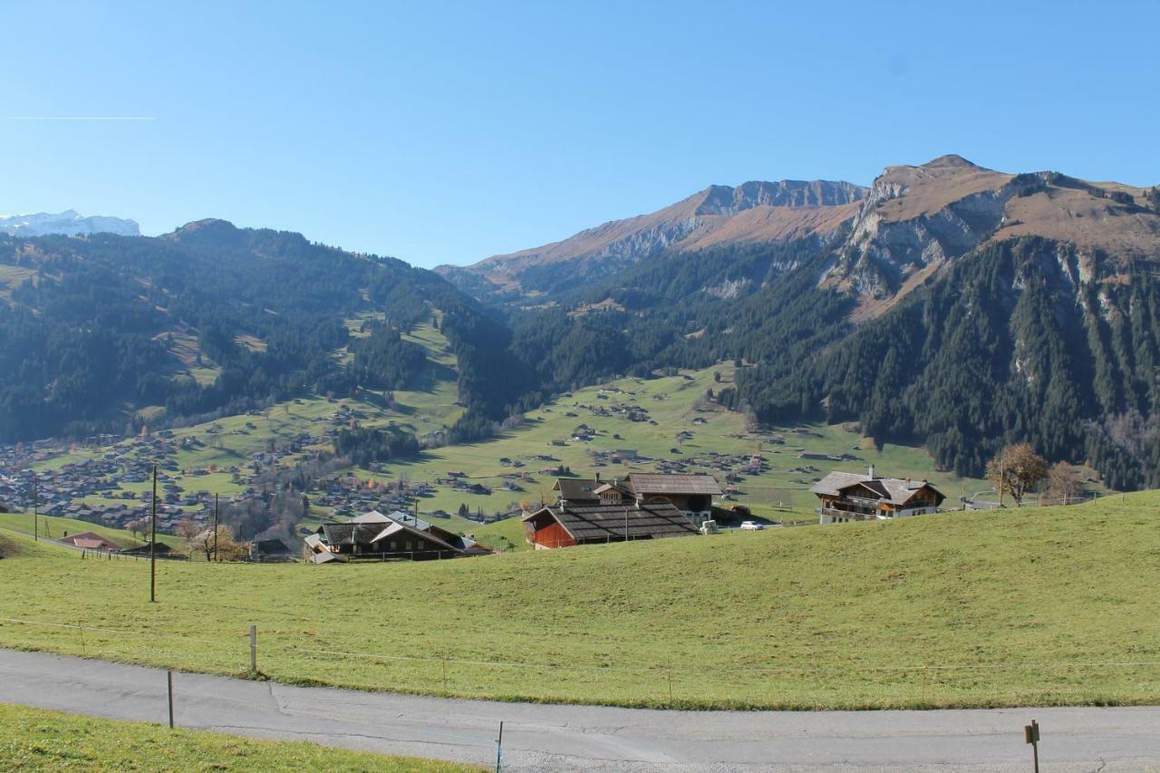 Chalet Weissenberg Lenk Zewnętrze zdjęcie